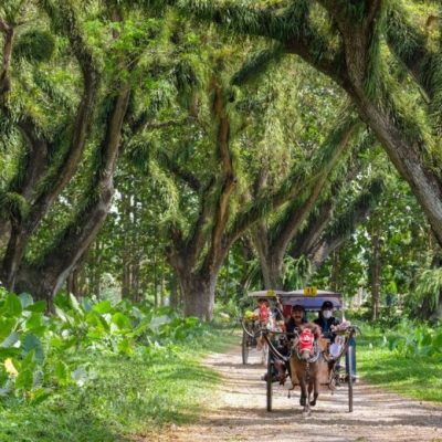 djawatan-benculuk-780x520