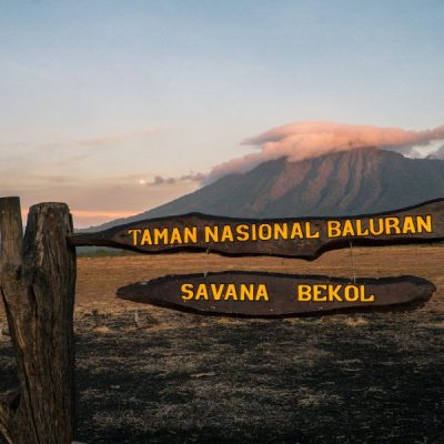 taman-nasional-baluran (1)
